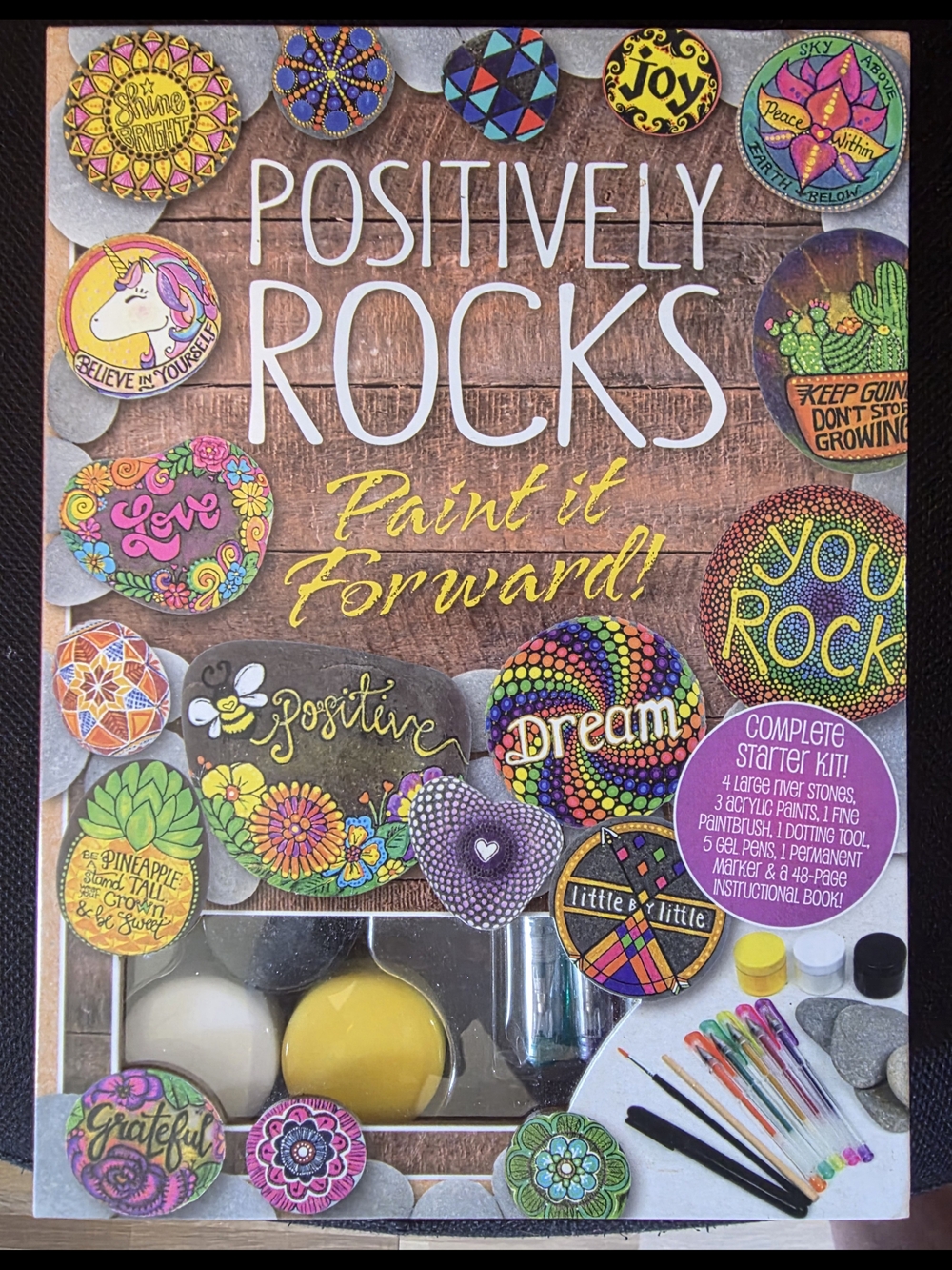 Positively Rocks Paint It Forward Rock Painting Kit